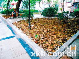園林綠化工程設(shè)計(jì)及施工 以匠心堆疊紙上線條與大地詩意